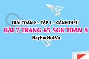 Giải bài 7 trang 65 Toán 8 Tập 1 SGK Cánh Diều